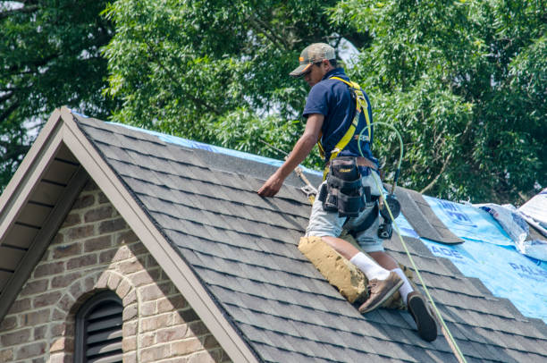Best Roof Gutter Cleaning  in Huntsville, TX